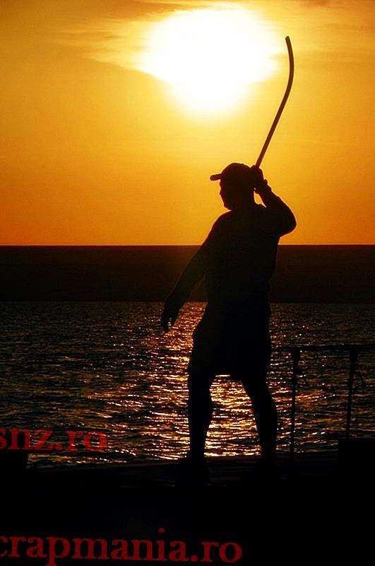 Sunset - 1014706.jpg